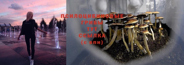 сатива Михайловка