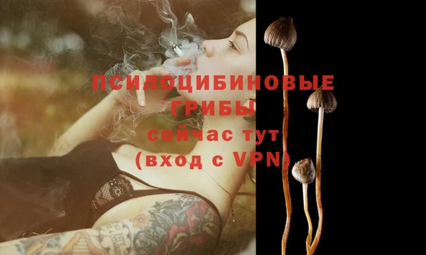 сатива Михайловка
