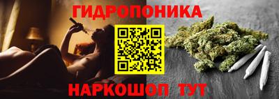 2c-b Канаш