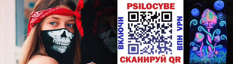 Псилоцибиновые грибы Psilocybine cubensis  Менделеевск 