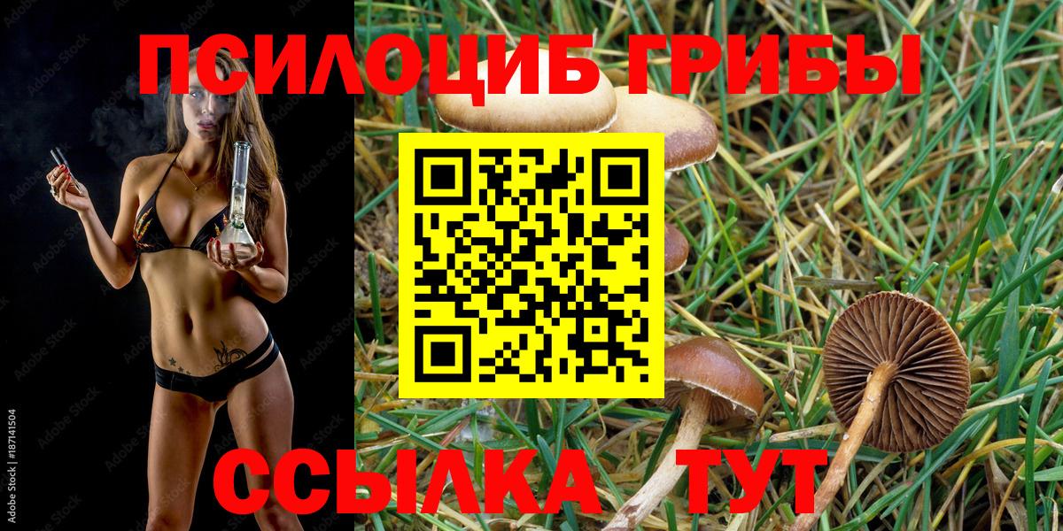 Псилоцибиновые грибы прущие грибы Менделеевск