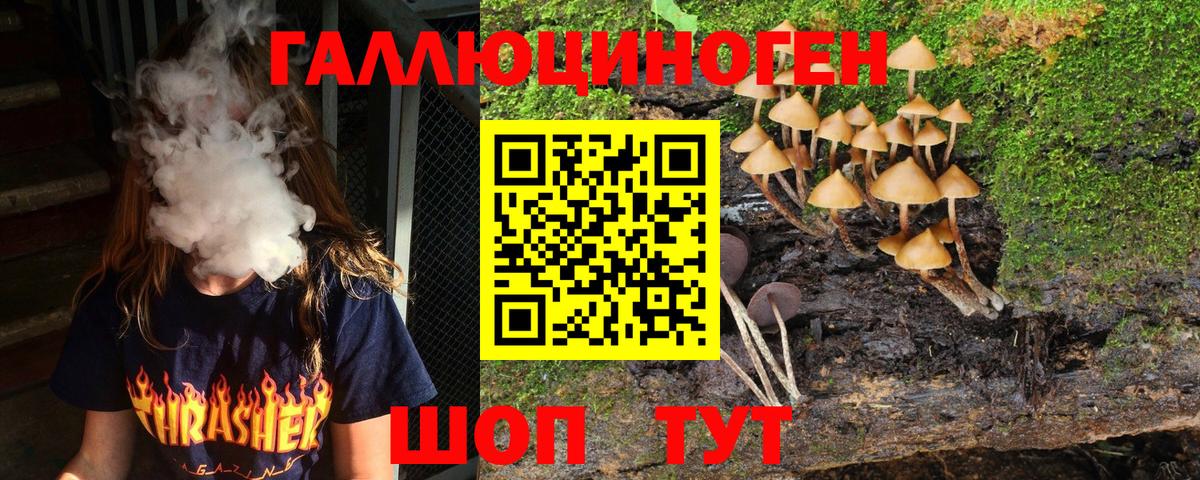 купить закладку  Менделеевск  Галлюциногенные грибы GOLDEN TEACHER  Псилоцибиновые грибы GOLDEN TEACHER 